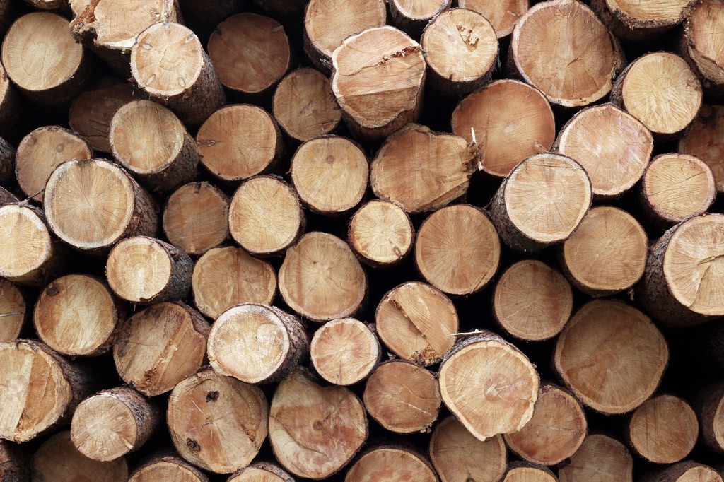 缅甸木材进口报关公司缅甸木材进口清关所需资料