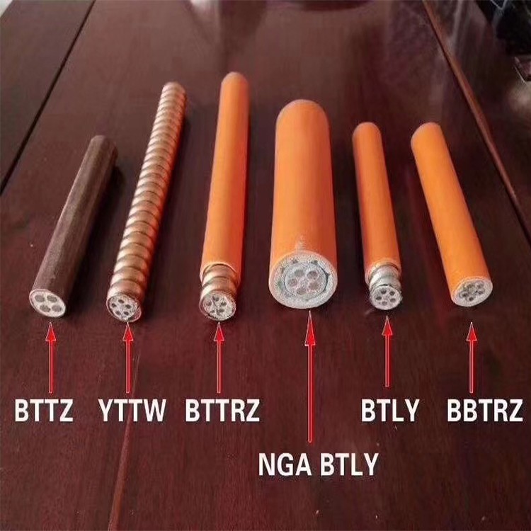 广东电缆厂（BTTZ YTTW BTTRZ BTLY BBTRZ）矿物质电缆 辐照交联电线电缆