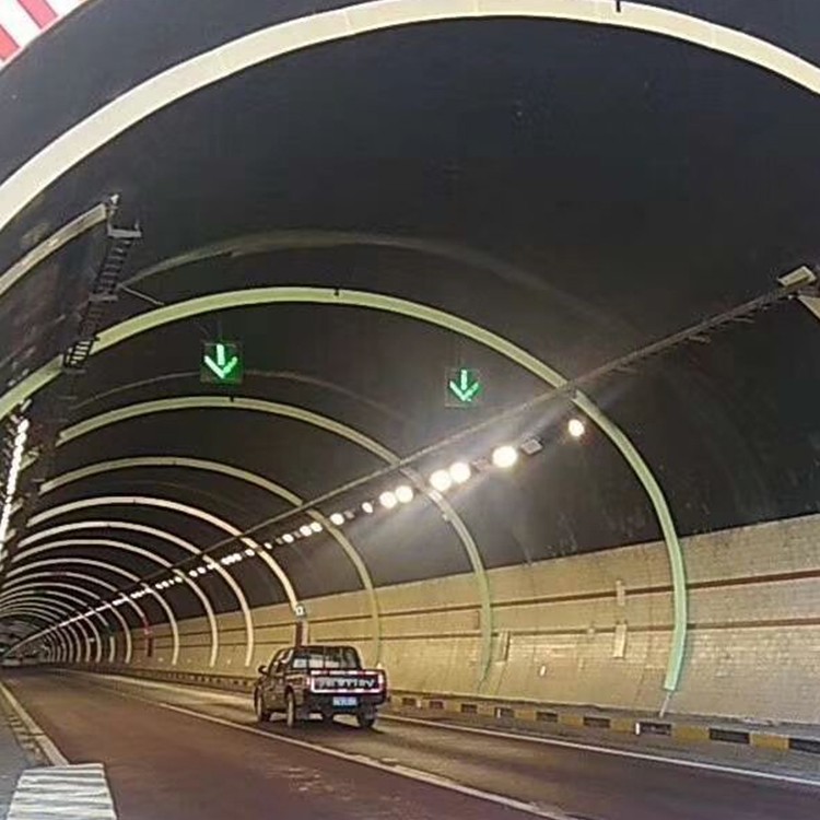 600mm双面隧道车道指示器 led红叉绿箭车道信号灯 收费站雨棚灯