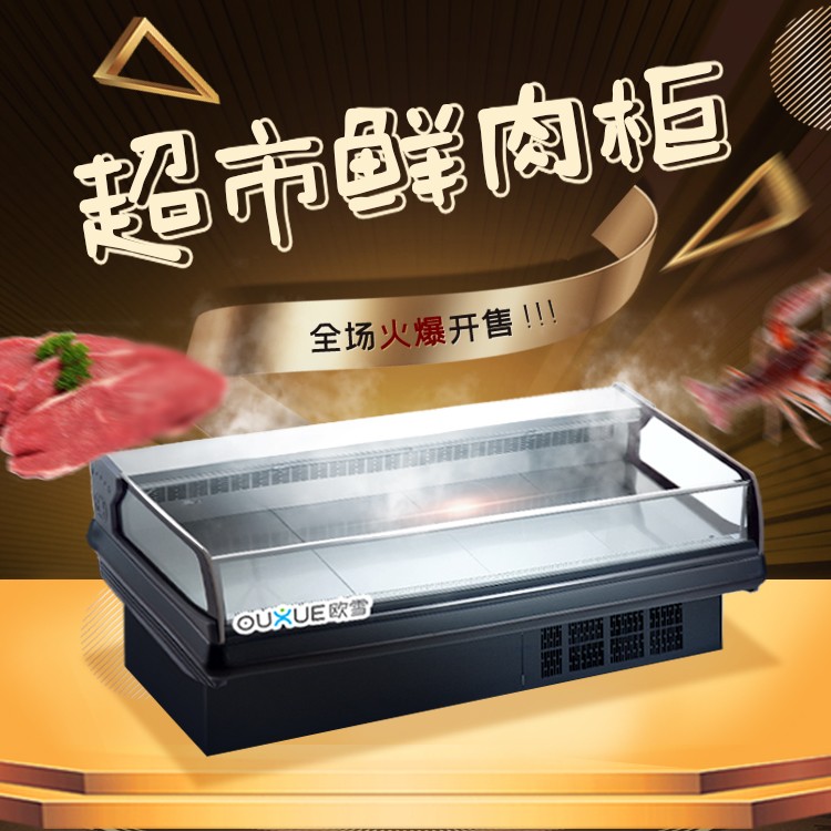 智能控温冷藏展示鲜肉的冷柜 2-8度冻肉保鲜冰柜照片