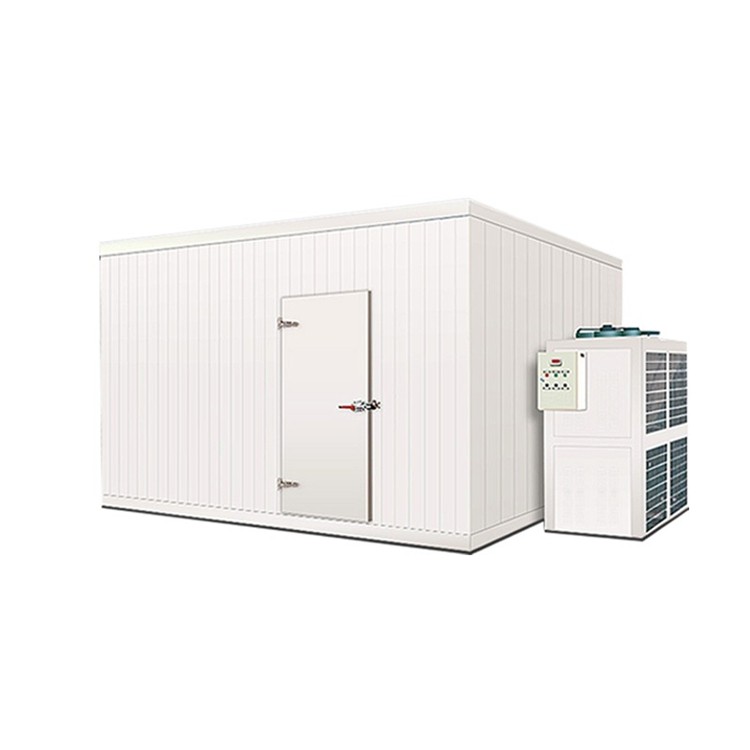 揭阳保鲜气调冷库安装 速冻食品水产冷库 小型移动冷库设备 冷库工程