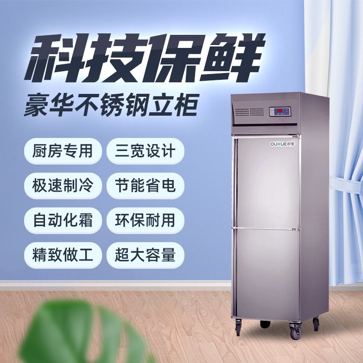 深圳上下门厨房冰柜冷冻柜 菜品肉类保鲜不锈钢冰箱报价
