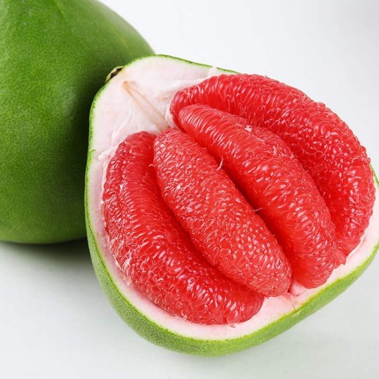 泰国红宝石青柚树泰国红宝石青柚树基地红宝石柚子树什么时候种植 供应网