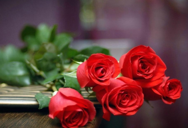 如何保存能够延长玫瑰花保存周期 供应网