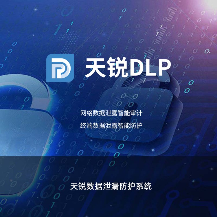 天锐绿盾DLP网络数据泄露审计系统 网络访问行为防护加密软件